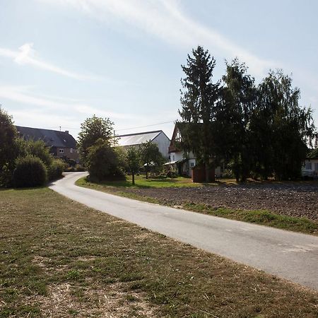 Spacious Holiday Home Between Mosel And Hunsr Ck Blankenrath エクステリア 写真