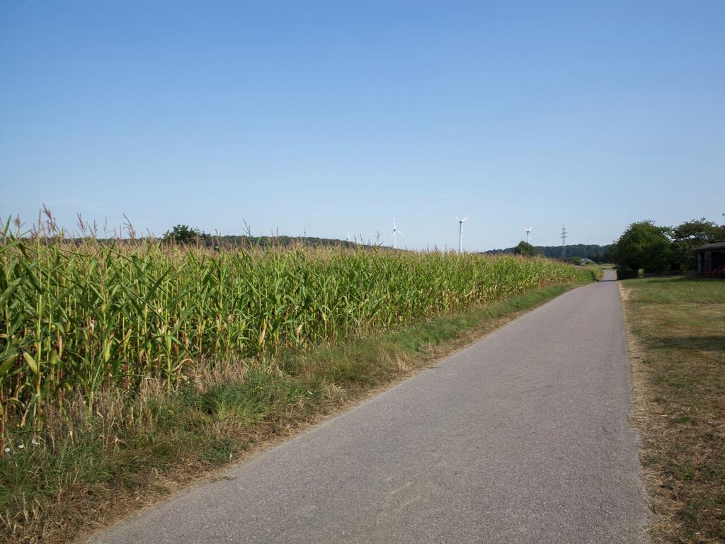 Spacious Holiday Home Between Mosel And Hunsr Ck Blankenrath エクステリア 写真